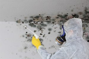 Feuchtigkeit im Keller kann unter Umständen zu massiven Schäden an der Bausubstanz führen.
