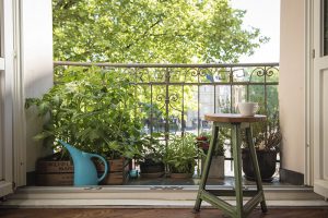 Um sich am Balkon vor neugieren Blicken zu schützen können statt Matten aus Kunststoff oder Bambus auch einfach Pflanzen auftestellt werden.