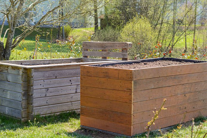 243_144474595 Mit der richtigen Füllung in ihrem Hochbeet schaffen Sie die optimalen Bedingungen für Pflanzen.
