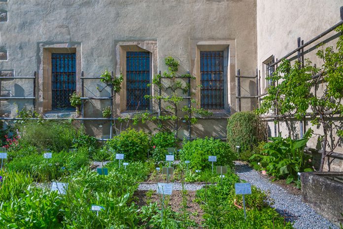 293_157297320 Bei der Kräutergarten-Gestaltung gibt es unzählige Möglichkeiten.