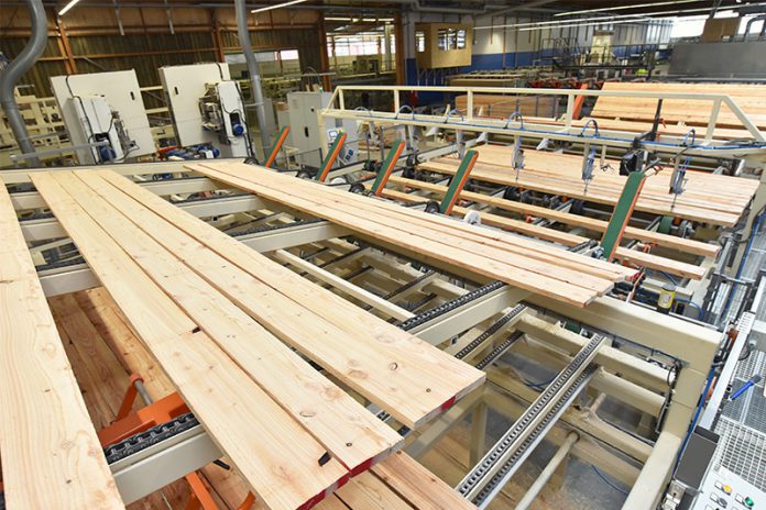 300_266281289 Wer Holz kaufen möchte, sollte unbedingt auf eine entsprechende Zertifizierung des Rohstoffes achten.