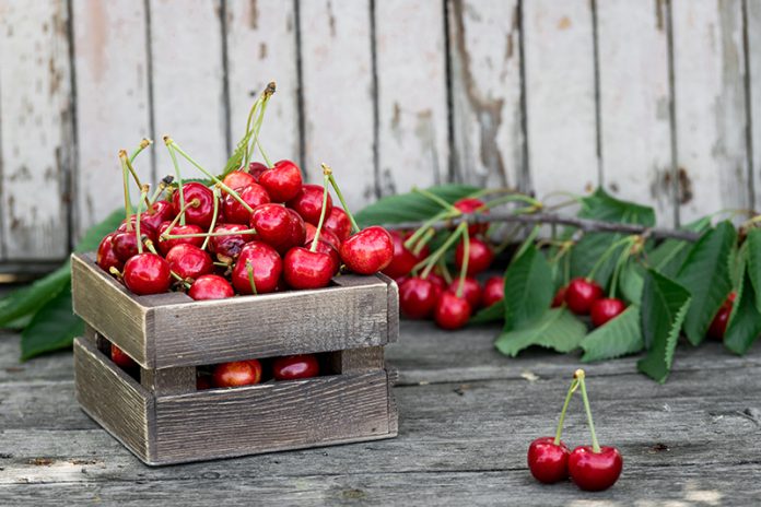 0363bt256448788 Obstkisten werden nicht nur für die Lagerung von Früchten verwendet: Auch Möbel oder Dekoration lassen sich aus ihnen fertigen.
